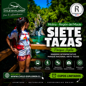 Explora Siete Tazas: Cascadas, Bosques y Aventura Real