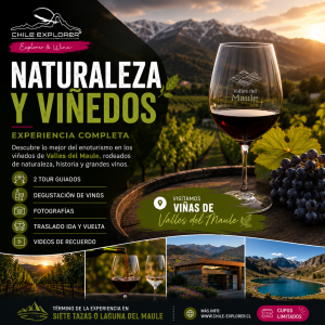 Naturaleza y Viñedos - Cordillera y Viñas del Maule